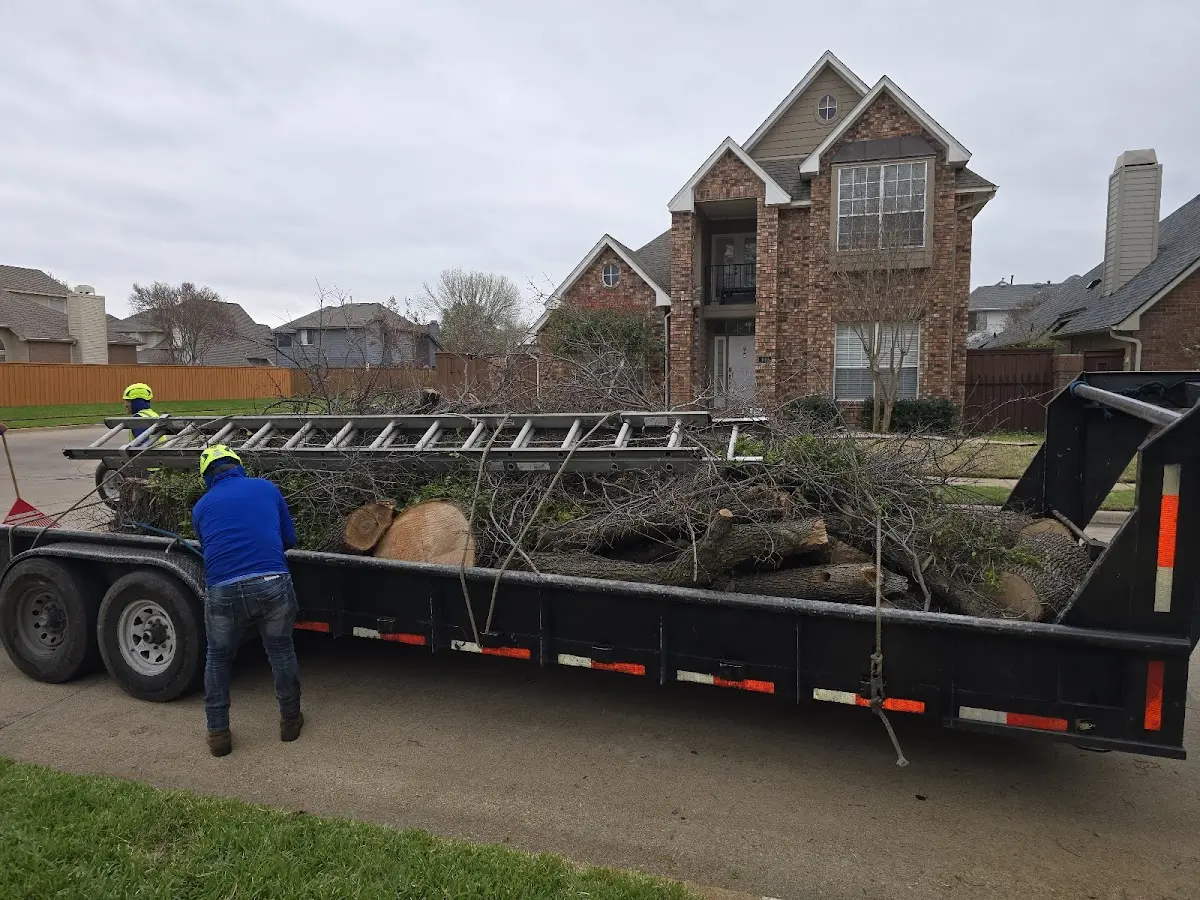 Expert Tree Fertilization with proper safety equipment in Pendleton